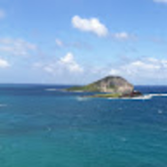 Meet your Posher, Lilfliplilo - Picture 1 of 1